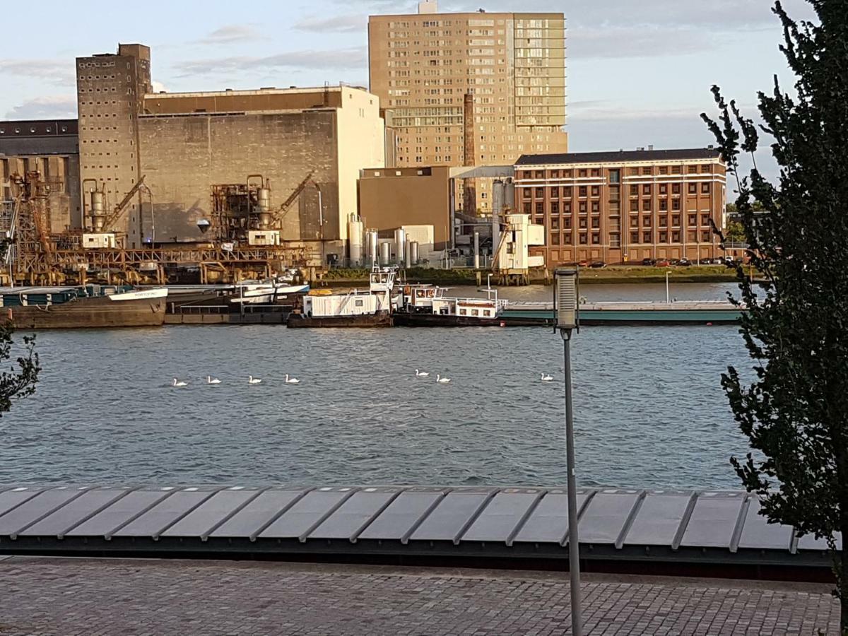 Sewdien'S Apartment Maashaven Rotterdam Dış mekan fotoğraf